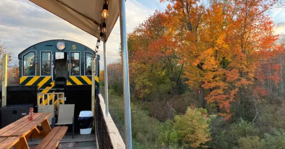 a train ride during fall season with colors on the trees