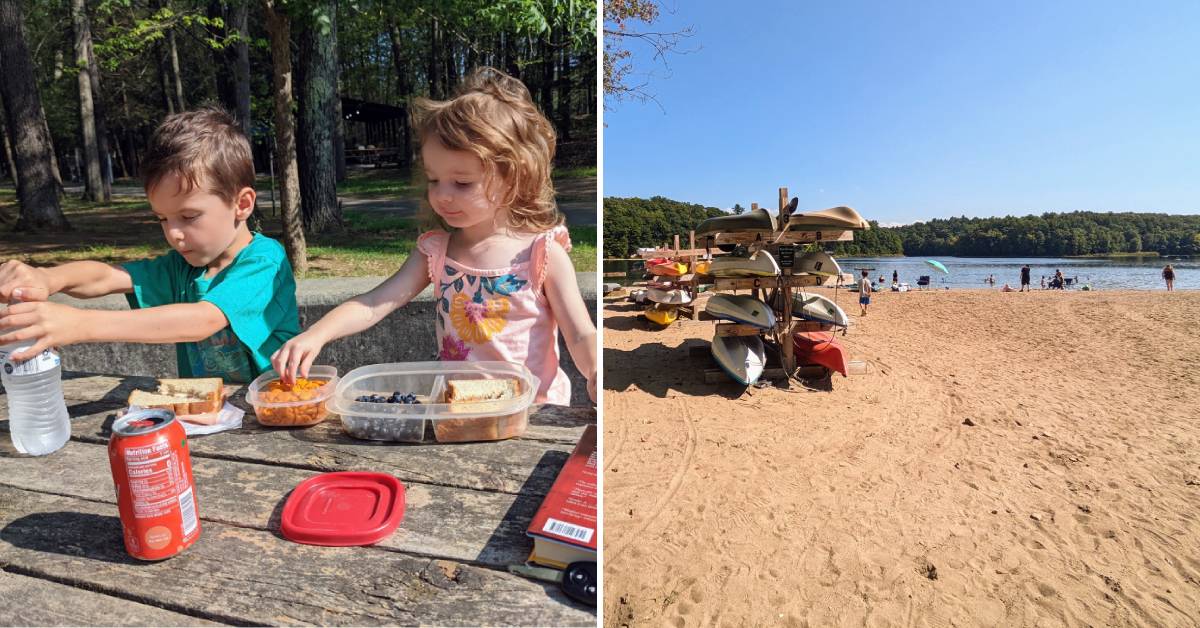 kids picnicking on the left, kayaks and beach area on the right