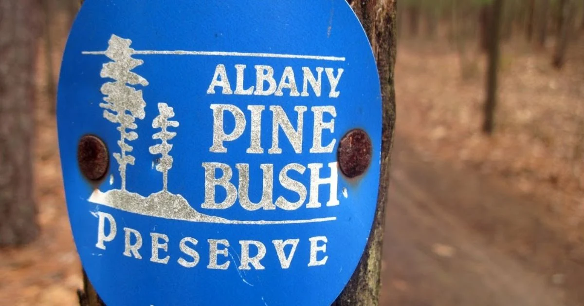 albany pine bush preserve trail marker