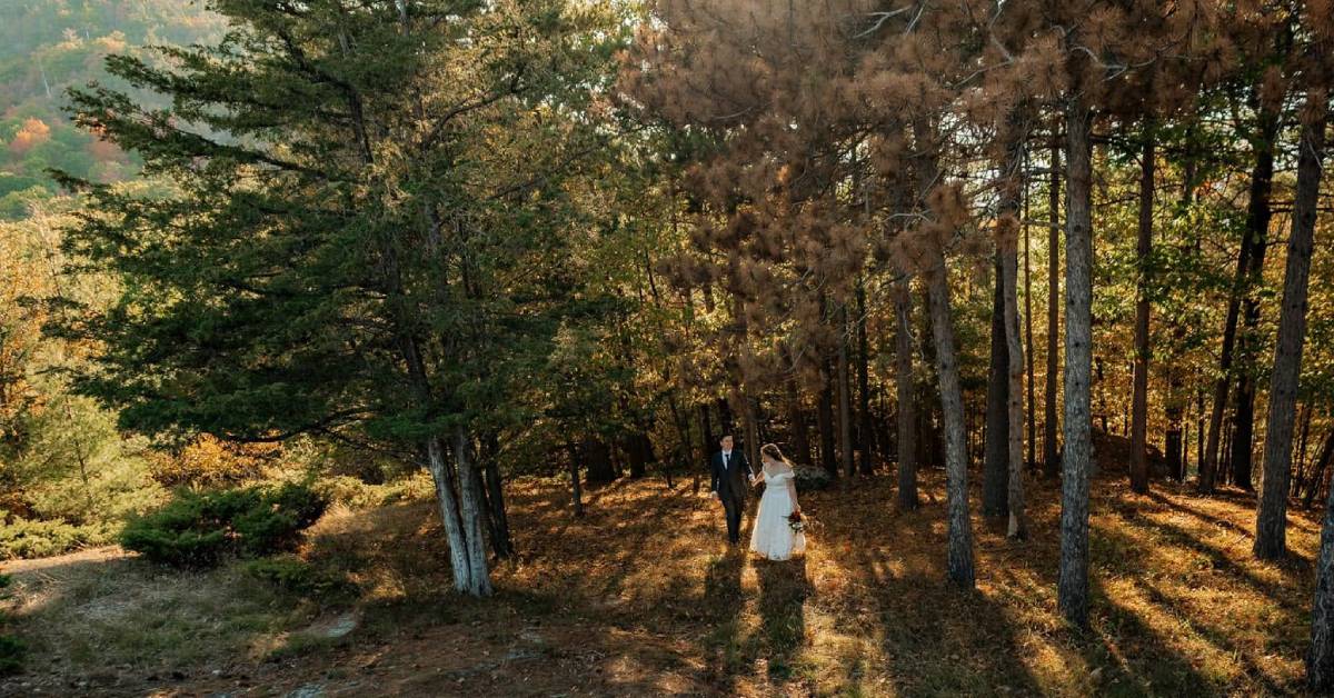 bride and groom in woods