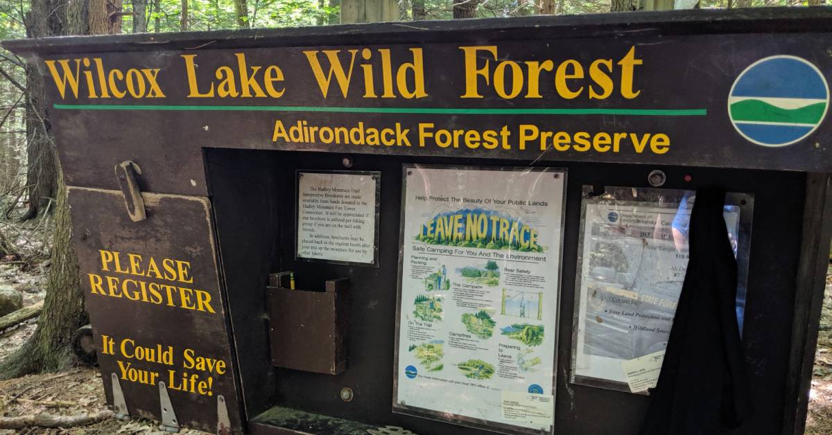 wilcox lake wild forest trailhead