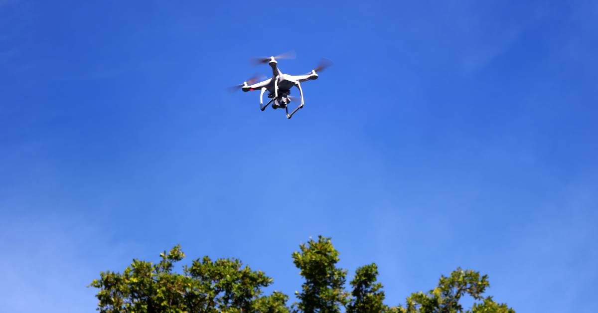 drone flying above tree