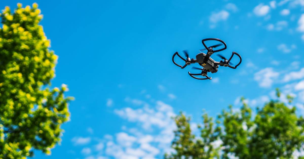 drone in the air above trees