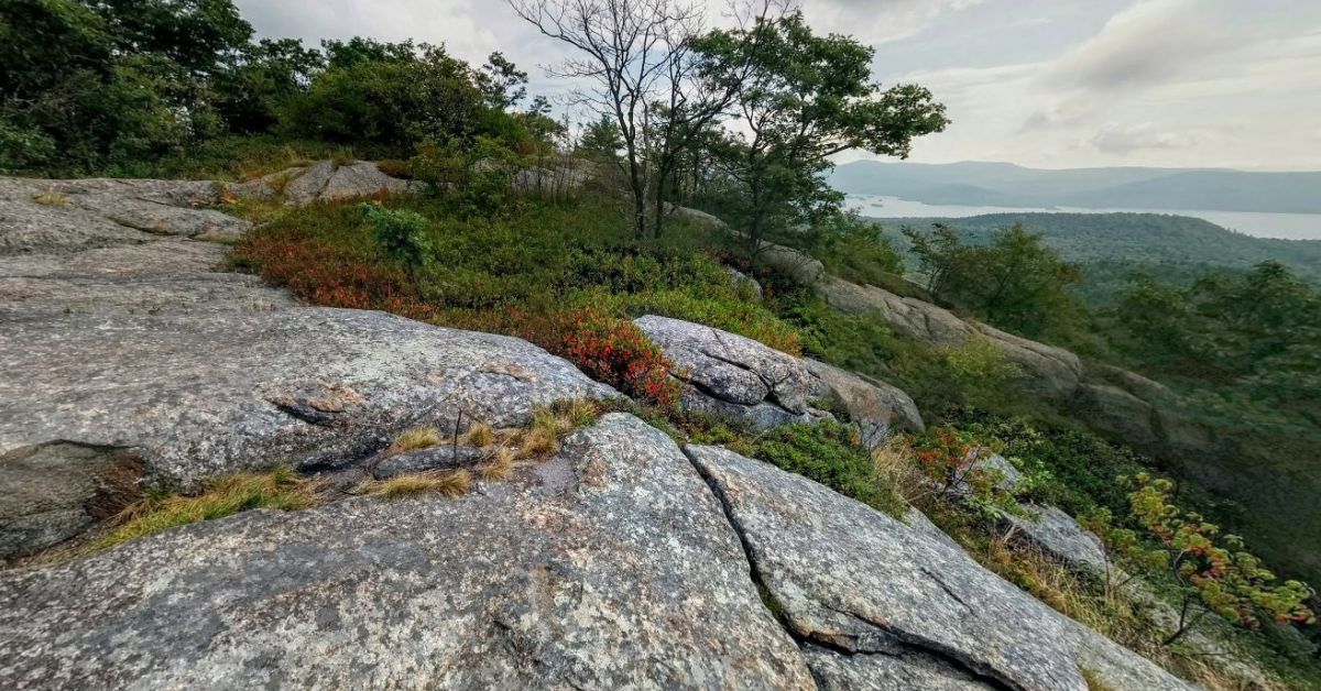 cat mountain summit