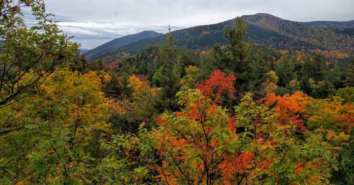 fall foliage at summit