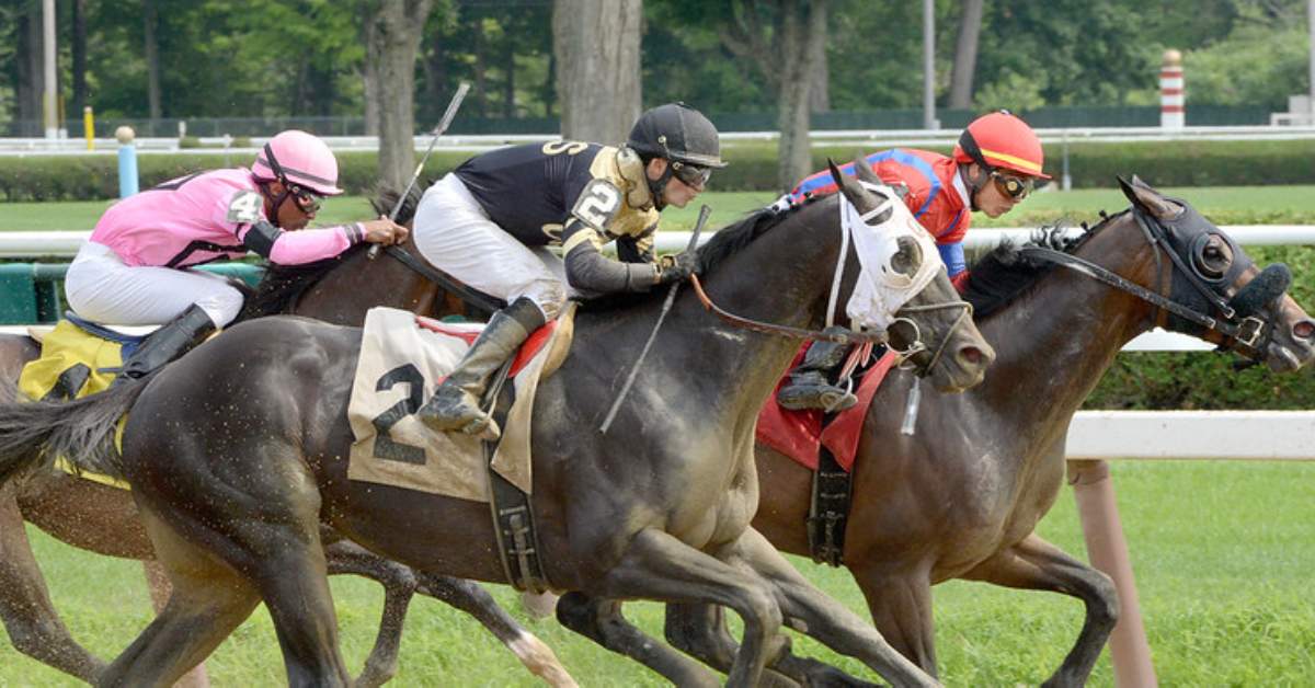 horses racing on dirt track