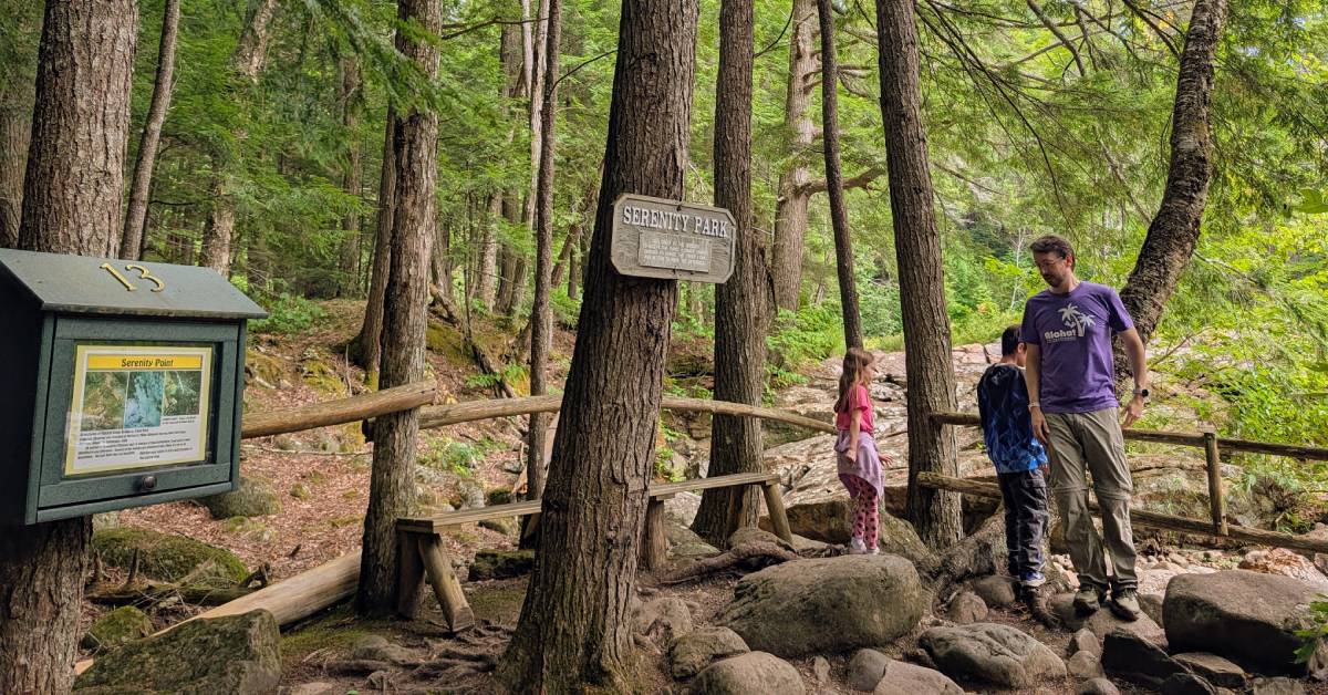 dad and kids at serenity park stop at natural stone bridge and caves