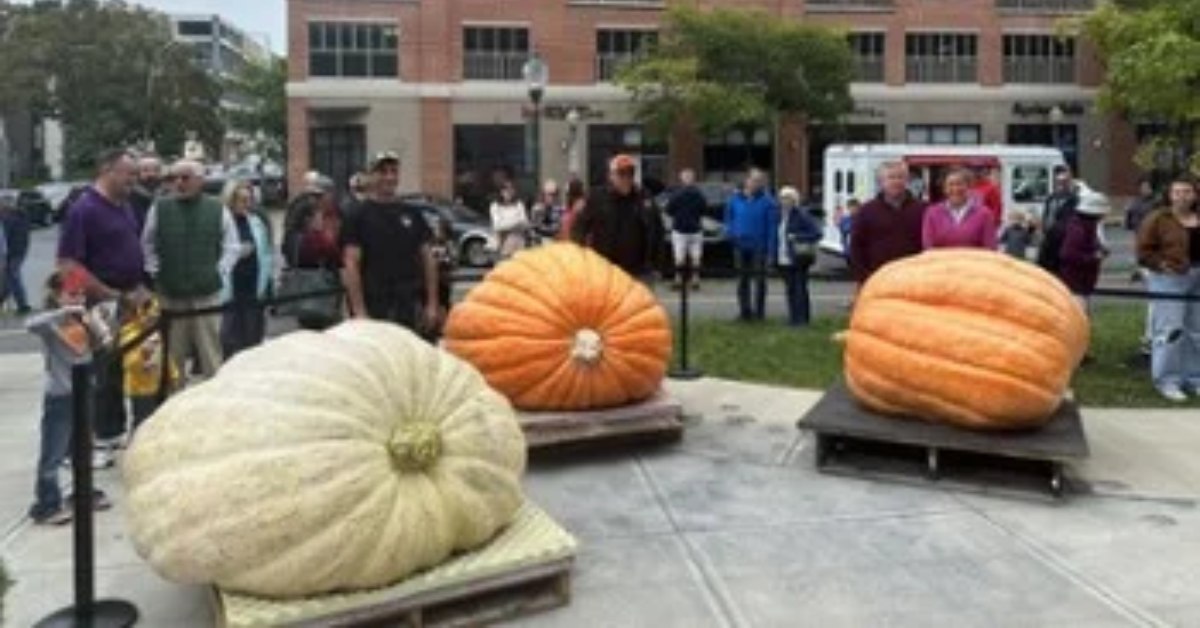 Saratoga Giant PumpkinFest