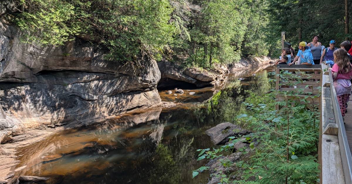 people at natural stone bridge and caves