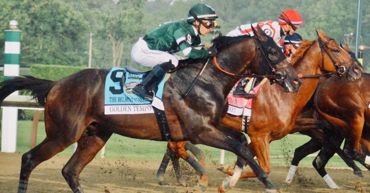 horse racing at the belmont