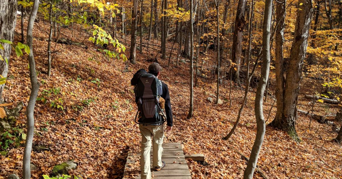 hiker in the fall