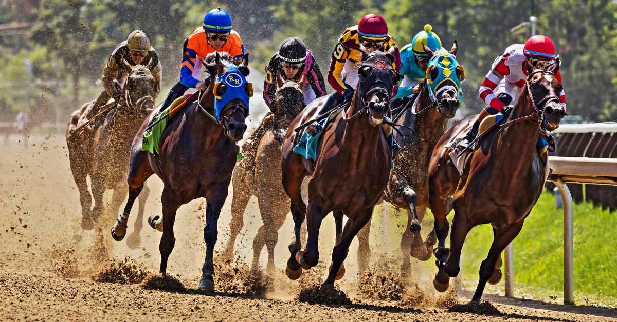 horses racing on dirt