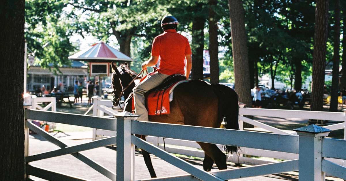 horse at saratoga by the fence