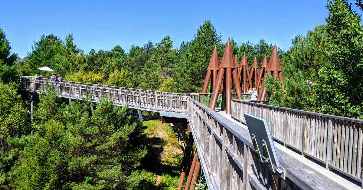 The Wild Center Wild Walk