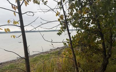 L28.000 Bridge Road, Julie & Co. Realty