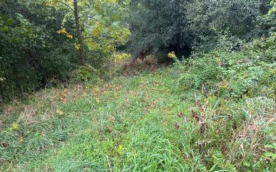 L28.000 Bridge Road, Julie & Co. Realty