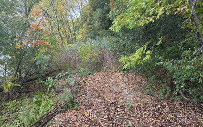 L28.000 Bridge Road, Julie & Co. Realty