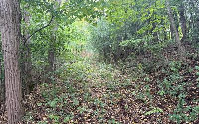 L28.000 Bridge Road, Julie & Co. Realty