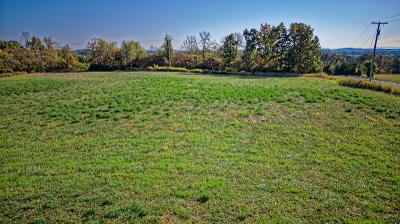 L41.1 West River Road, Julie & Co. Realty