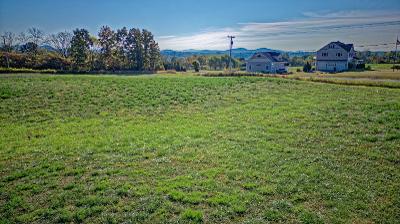 L41.1 West River Road, Julie & Co. Realty