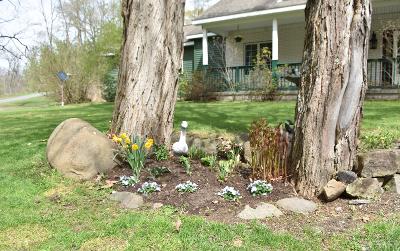 449 Maple Avenue, Julie & Co. Realty