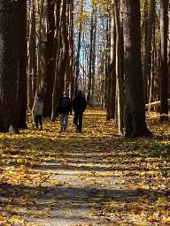 278 Ballston Avenue, Julie & Co. Realty