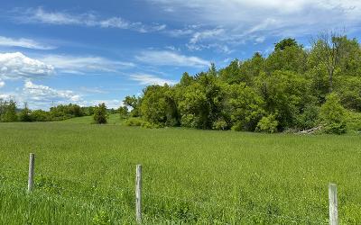 2368 County Route 12, Julie & Co. Realty