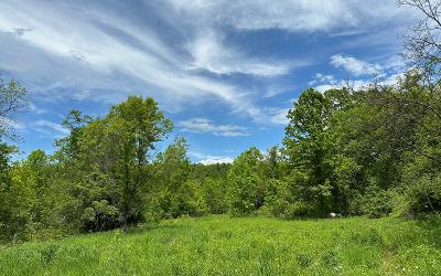 2368 County Route 12, Julie & Co. Realty