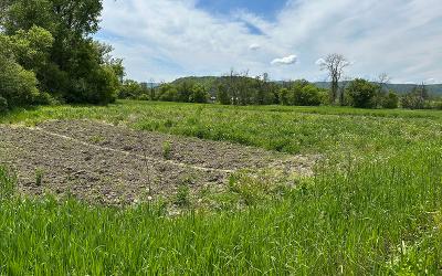 2368 County Route 12, Julie & Co. Realty