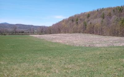 2368 County Route 12, Julie & Co. Realty