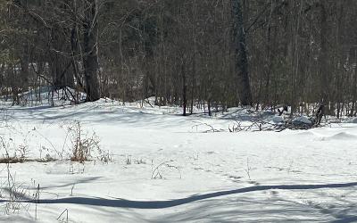 610 Liddle Harris Road, Julie & Co. Realty