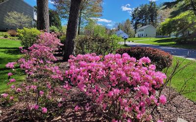 532 Acland Boulevard, Julie & Co. Realty