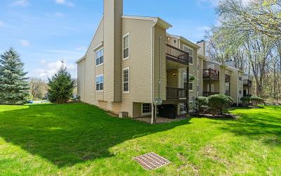 5101 Forest Pointe Drive, Julie & Co. Realty