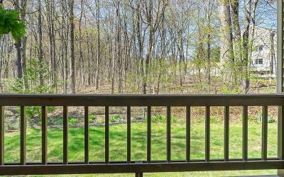 5101 Forest Pointe Drive, Julie & Co. Realty