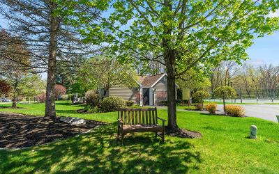 5101 Forest Pointe Drive, Julie & Co. Realty