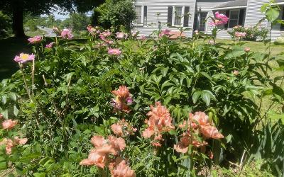 747 Route 146A, Julie & Co. Realty