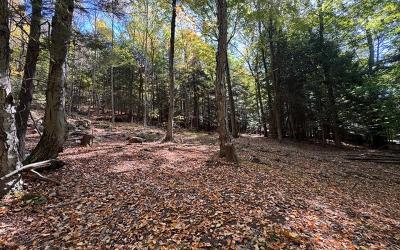 40 Constitution Way, Julie & Co. Realty