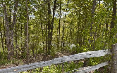 24 Mount Hope Avenue, Julie & Co. Realty
