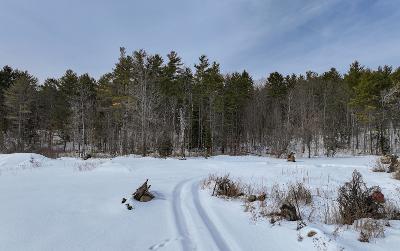 225 Fairy Lake Road, Julie & Co. Realty