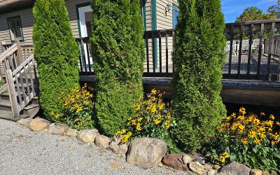 8 Abby Lane, Julie & Co. Realty