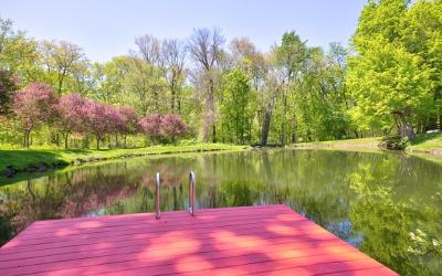 249 Bashford Road, Julie & Co. Realty