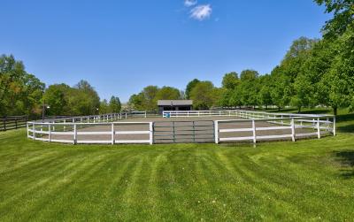 249 Bashford Road, Julie & Co. Realty