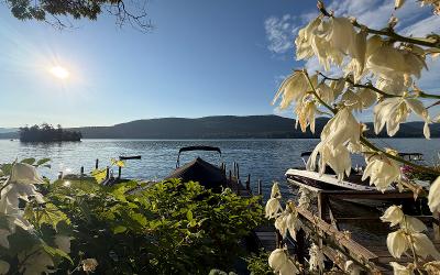 19 Lakeview Circle Drive, Julie & Co. Realty