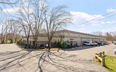 250 Excelsior Avenue, Julie & Co. Realty