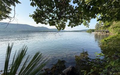2978 Lakeshore Drive, Julie & Co. Realty