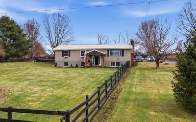 62 Gannon Road, Julie & Co. Realty