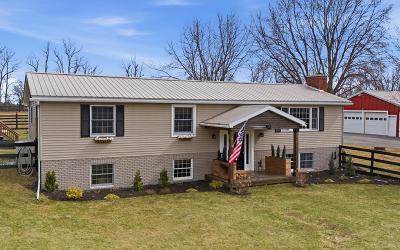 62 Gannon Road, Julie & Co. Realty