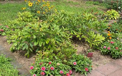 5 Birchtree Lane, Julie & Co. Realty