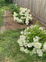 5 Birchtree Lane, Julie & Co. Realty