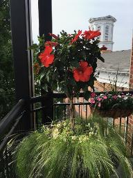 70 Railroad Place #411, Julie &Co. Realty